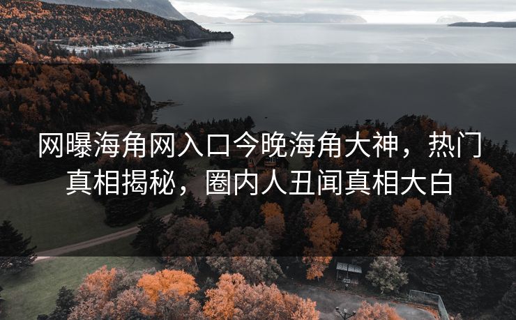网曝海角网入口今晚海角大神，热门真相揭秘，圈内人丑闻真相大白