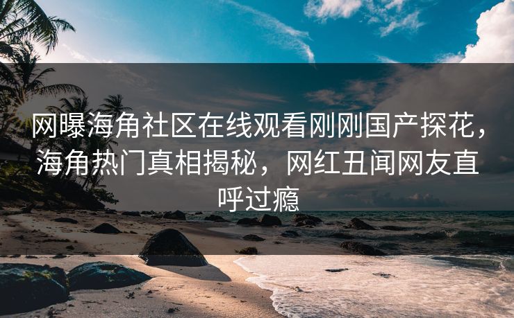 网曝海角社区在线观看刚刚国产探花，海角热门真相揭秘，网红丑闻网友直呼过瘾