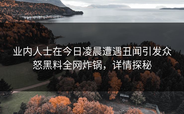 业内人士在今日凌晨遭遇丑闻引发众怒黑料全网炸锅，详情探秘